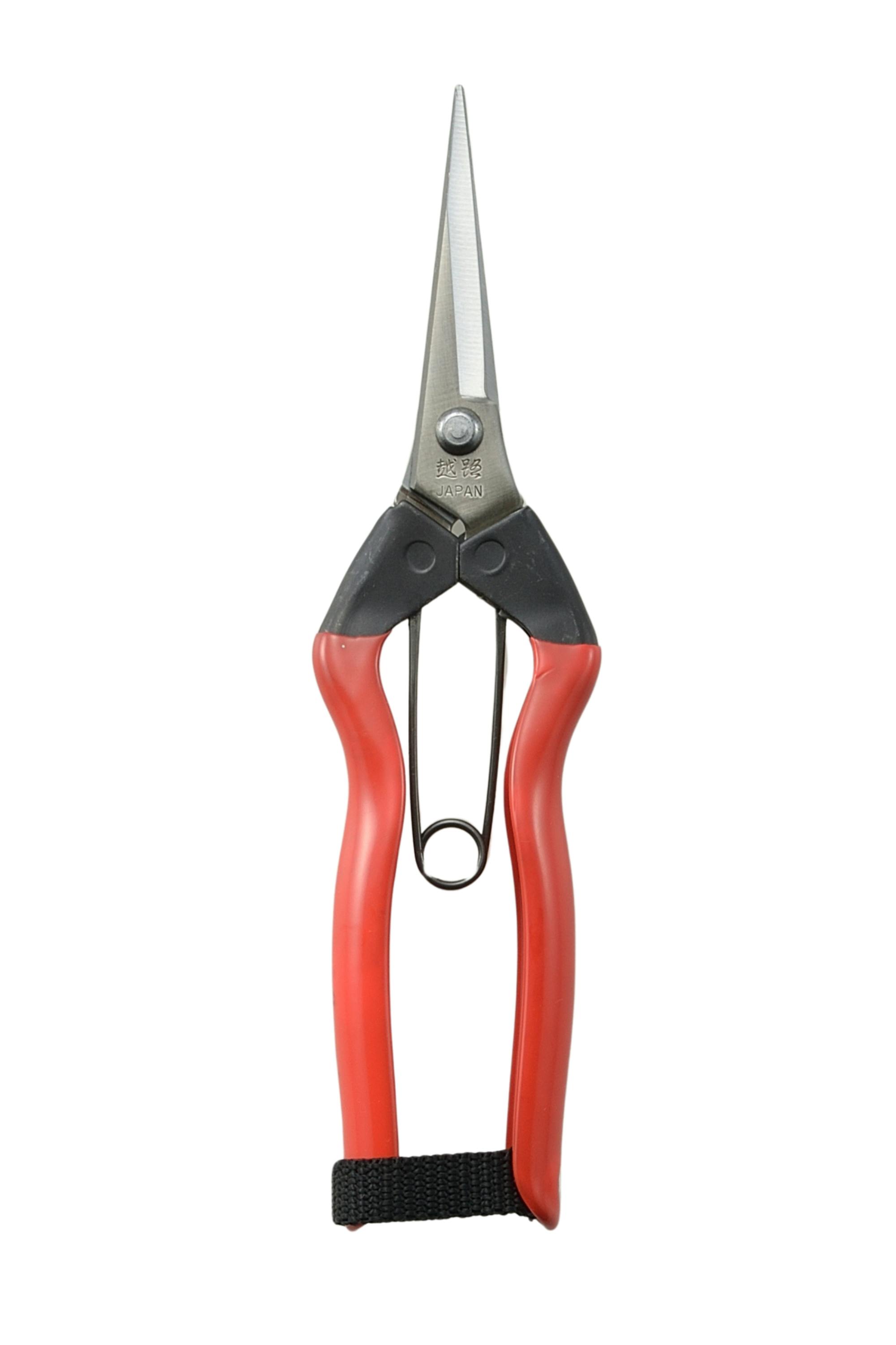 越路×TAKAGI ステン芽切摘果鋏 185mm 園芸用はさみ 果実・菜園用 薄刃