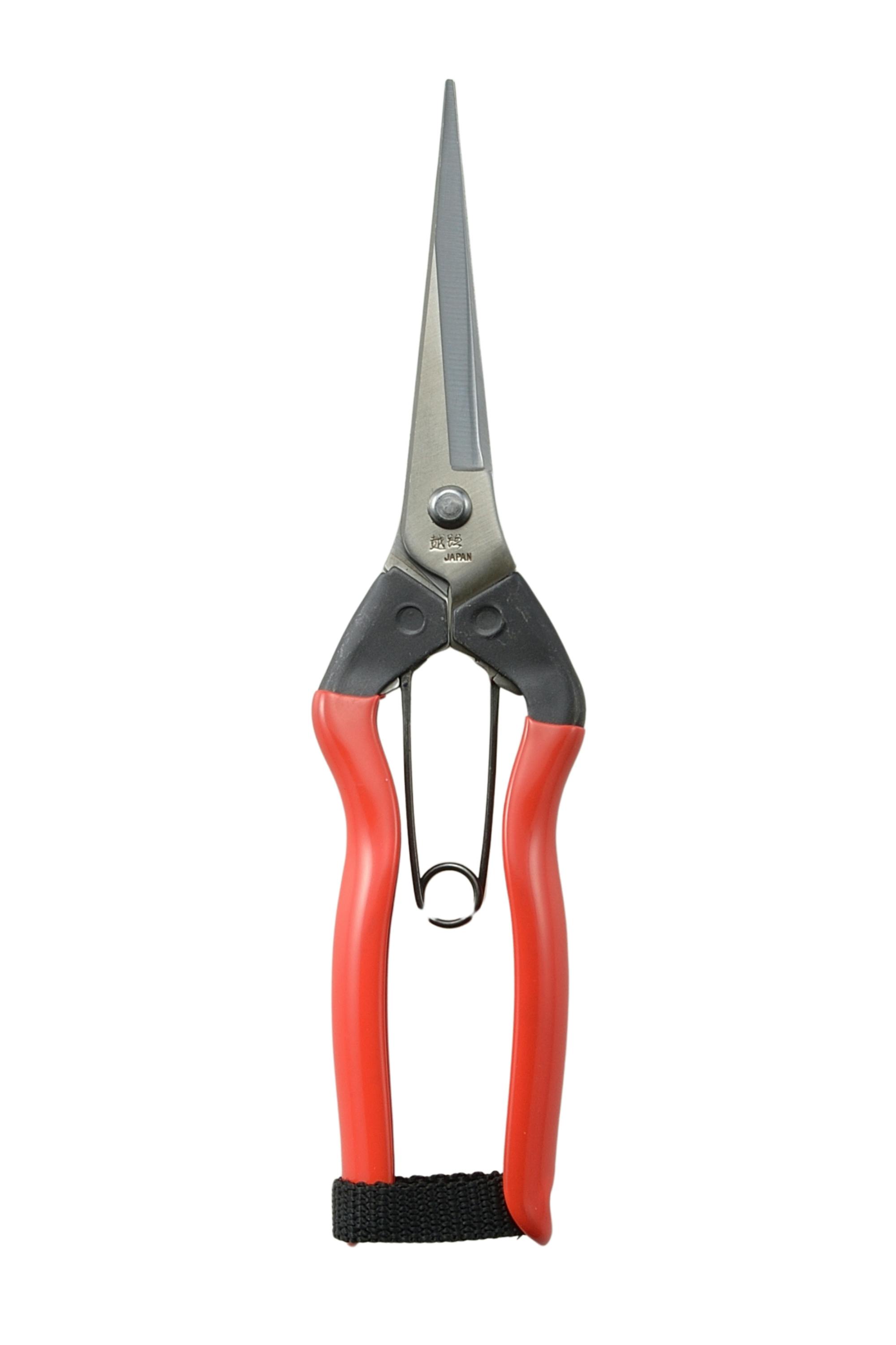 越路×TAKAGI ステン刃長芽切・摘果鋏 200mm 園芸用はさみ 果実・菜園用