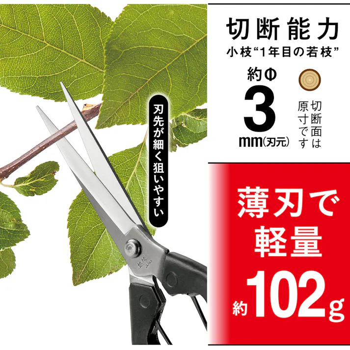 越路×TAKAGI ステン刃長芽切・摘果鋏 200mm 園芸用はさみ 果実・菜園用 軽量 日本製 間引き 先細 ステンレス製 さびにくい 留め具付 4907052711570【別送品】