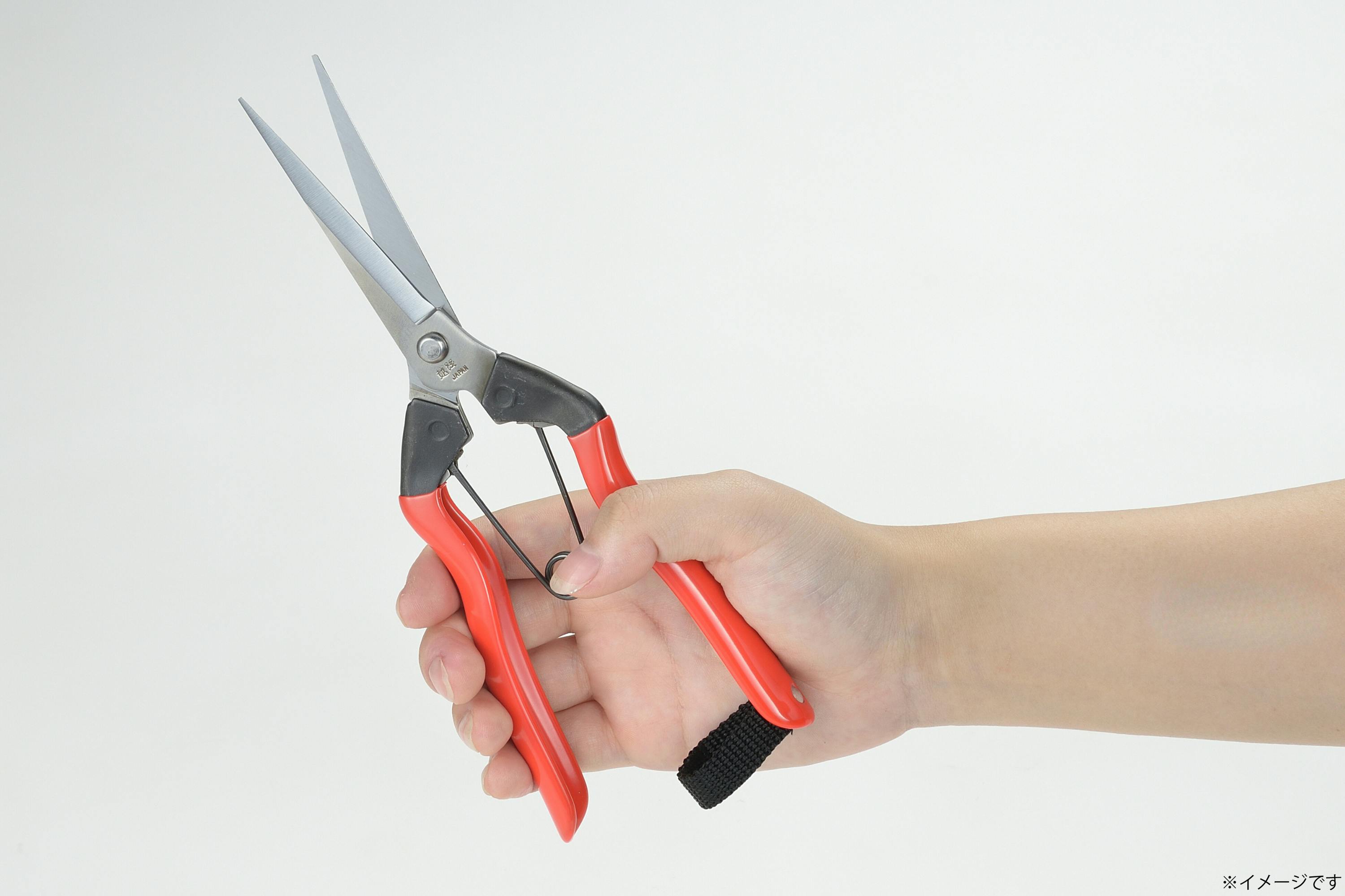 越路×TAKAGI ステン刃長芽切・摘果鋏 200mm 園芸用はさみ 果実・菜園用