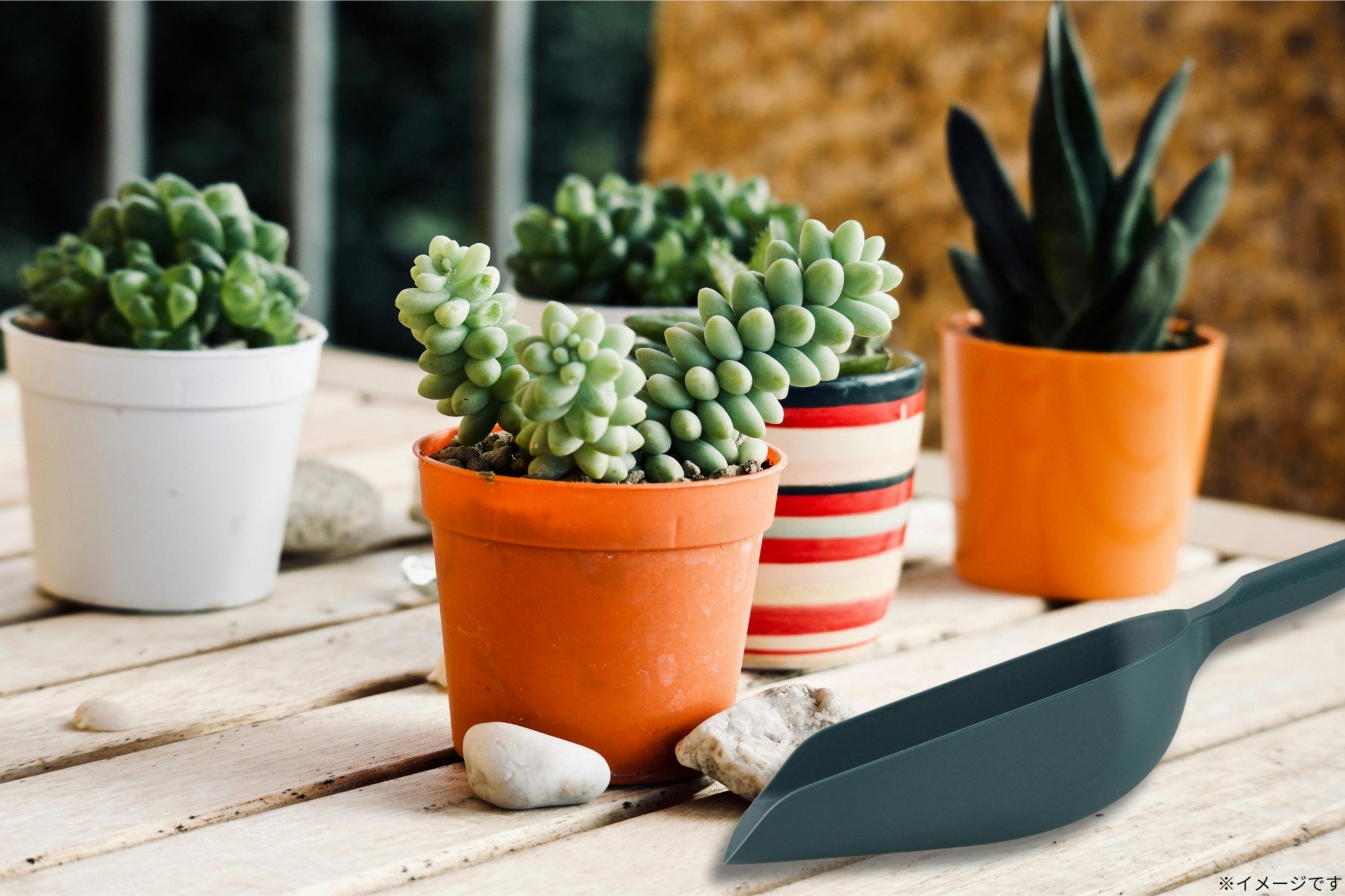 TAKAGI ガーデンスコップ 大 角型 軽量 丈夫 ポリプロピレン グラス