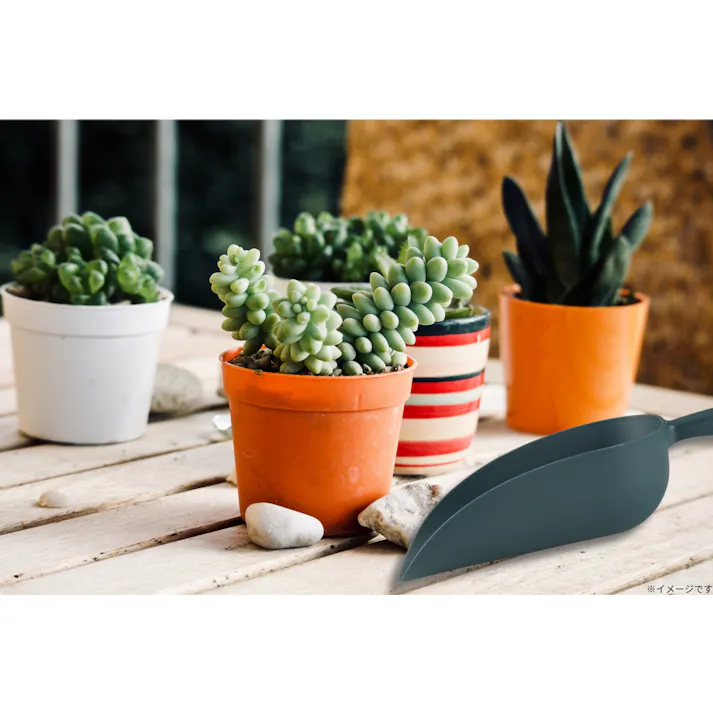 TAKAGI ガーデンスコップ 大 丸型 軽量 丈夫 ポリプロピレン グラスファイバー 園芸 家庭菜園 植え替え 2031758【別送品】