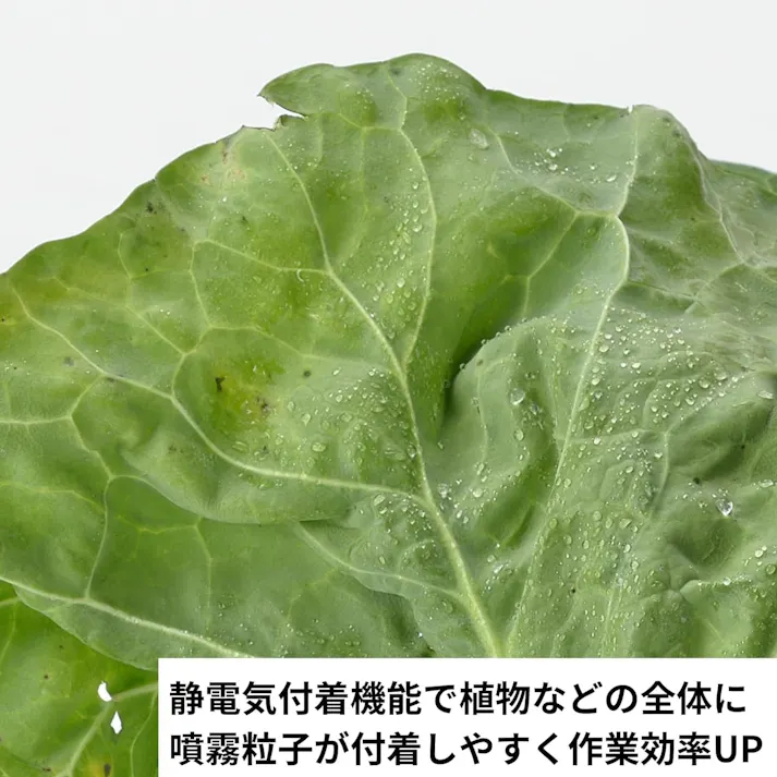 EARTH MAN SHARE LINK 18V充電式ハイパワースプレーヤー2L SL-HPS2-AS 3個セット 噴霧器 静電気付着機能 散布 散水 除草【別送品】