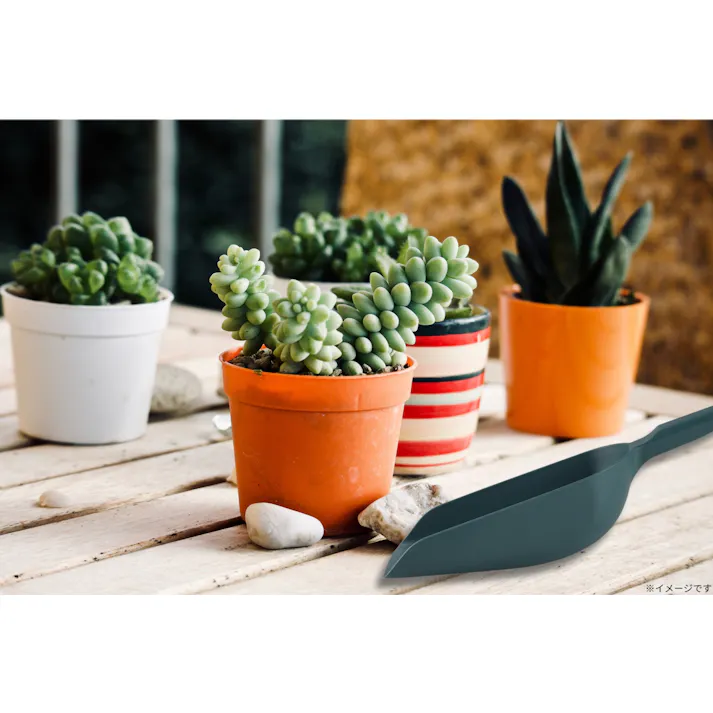 TAKAGI ガーデンスコップ 大 角型 20個セット 軽量 丈夫 ポリプロピレン グラスファイバー 園芸 家庭菜園 植え替え【別送品】