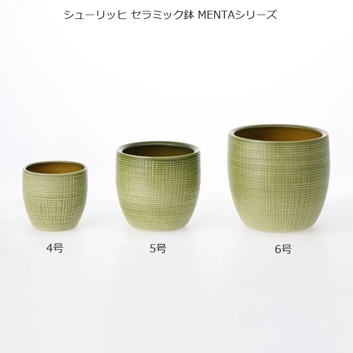 シューリッヒ セラミック鉢 6号 MENTA19 866-19 グリーン