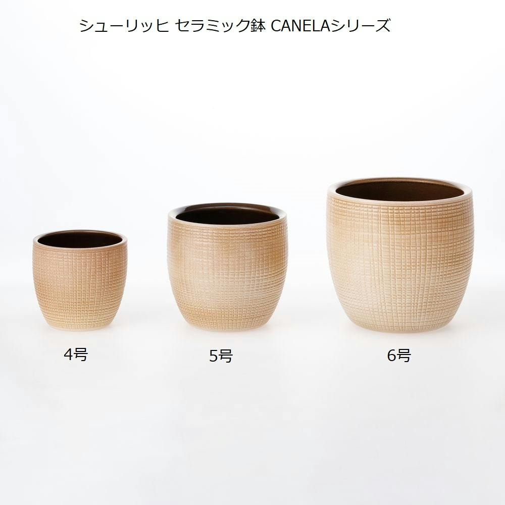 シューリッヒ セラミック鉢 5号 CANELA16 866-16 ピンク | 鉢