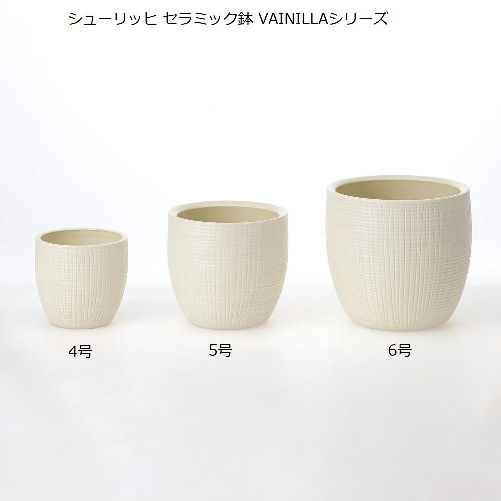 鉢 21cm シューリッヒ セラミック鉢 5号 PIMIENTA16 866-16 グレー | 鉢