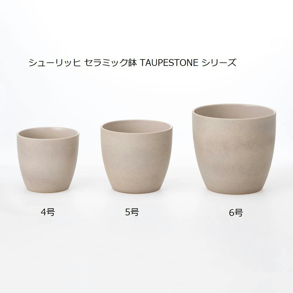 化粧鉢 植木鉢 おしゃれ 陶器鉢 ハピ2L(2色)＜ 18cm 6号 穴あり 受け皿あり