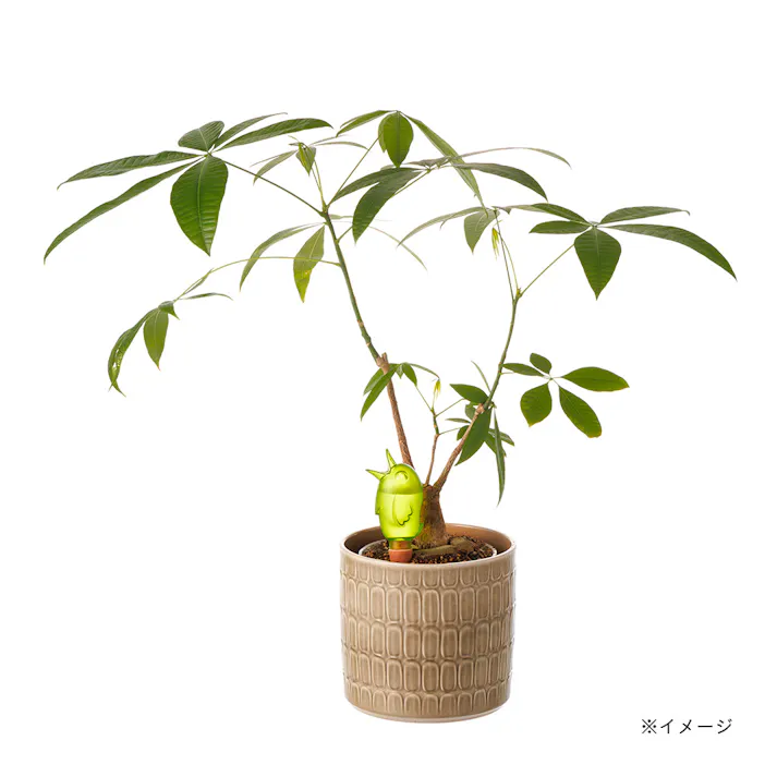 ウォーターキーパー バーディー S グリーン