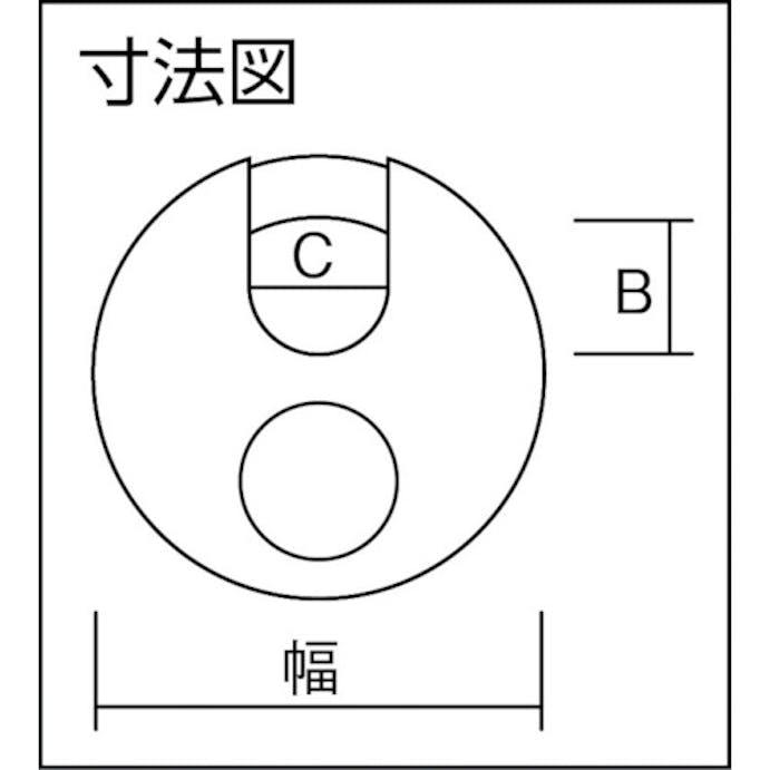 【CAINZ-DASH】アバス社 ディスカス　２４ＩＢ－５０　ステンレス吊 24IB-50【別送品】