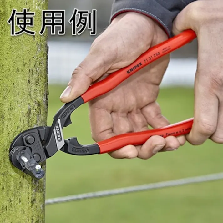 【CAINZ-DASH】KNIPEX社 250mm ミニクリッパー リセス付 プラスチックハンドル 7131-250【別送品】