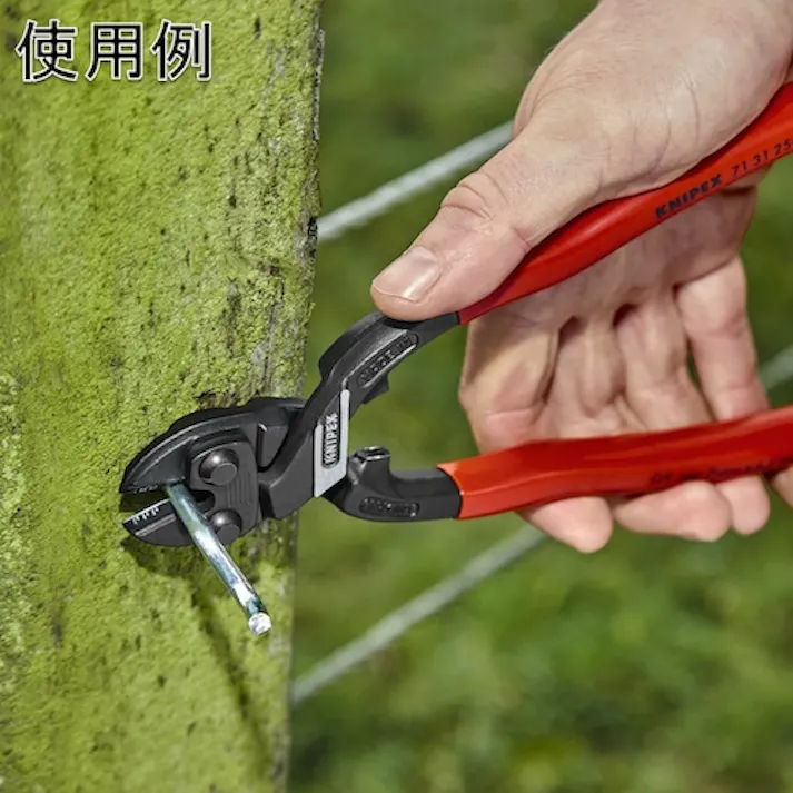 【CAINZ-DASH】KNIPEX社 250mm ミニクリッパー リセス付 プラスチックハンドル 7131-250【別送品】