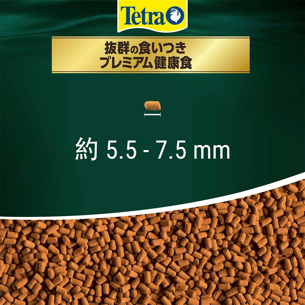 テトラ レプトミンスーパー 中粒 160g | ペット用品（小動物・鳥・亀