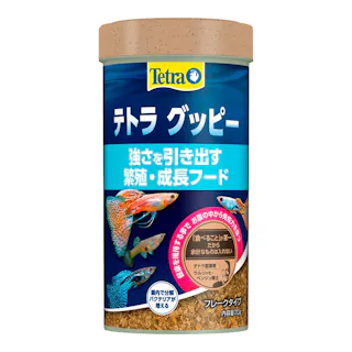 テトラ グッピー 70g
