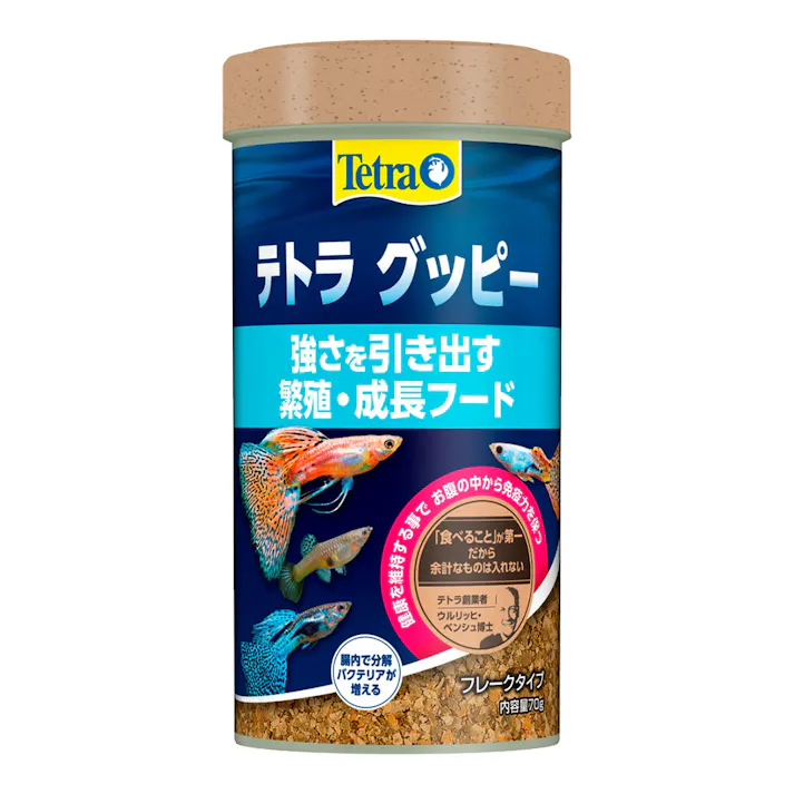テトラ グッピー 70g