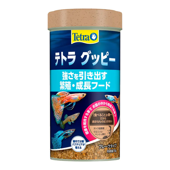 テトラ グッピー 70g