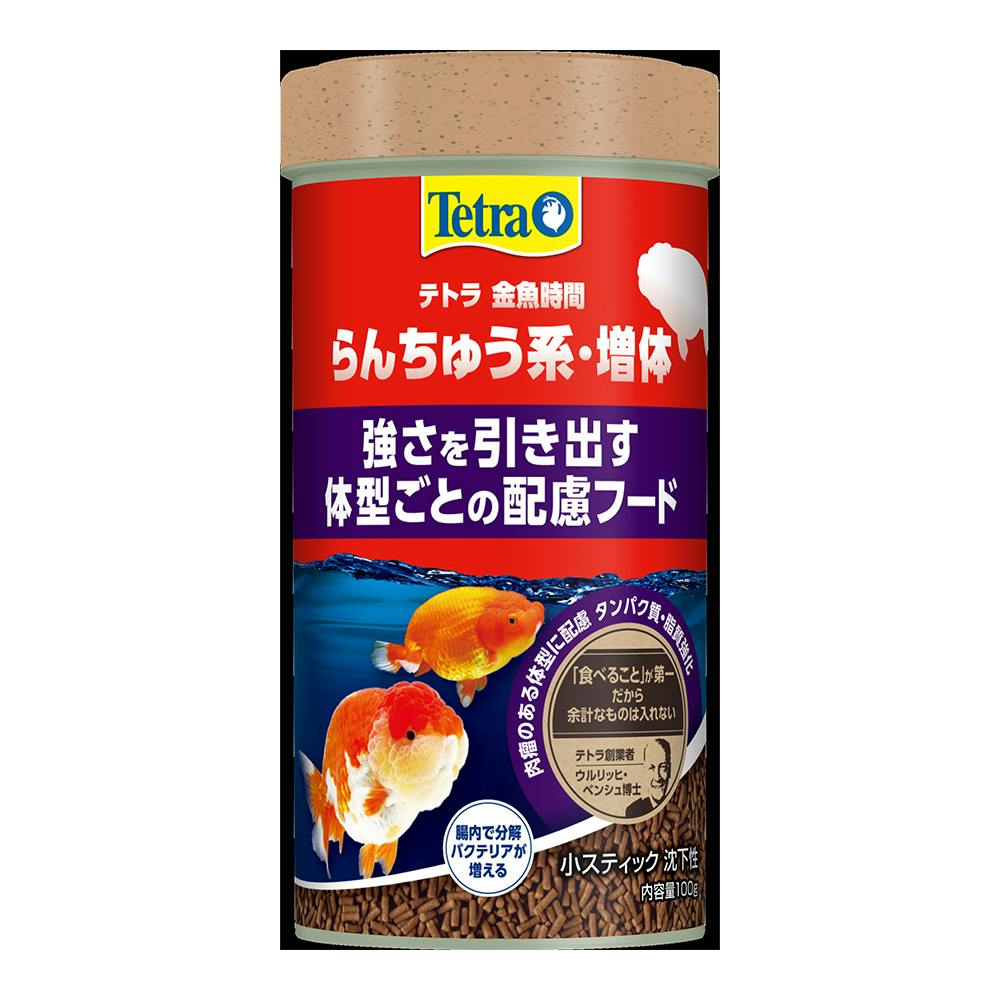 テトラ 金魚時間 らんちゅう系・増体 小スティック 100g | 水中生物