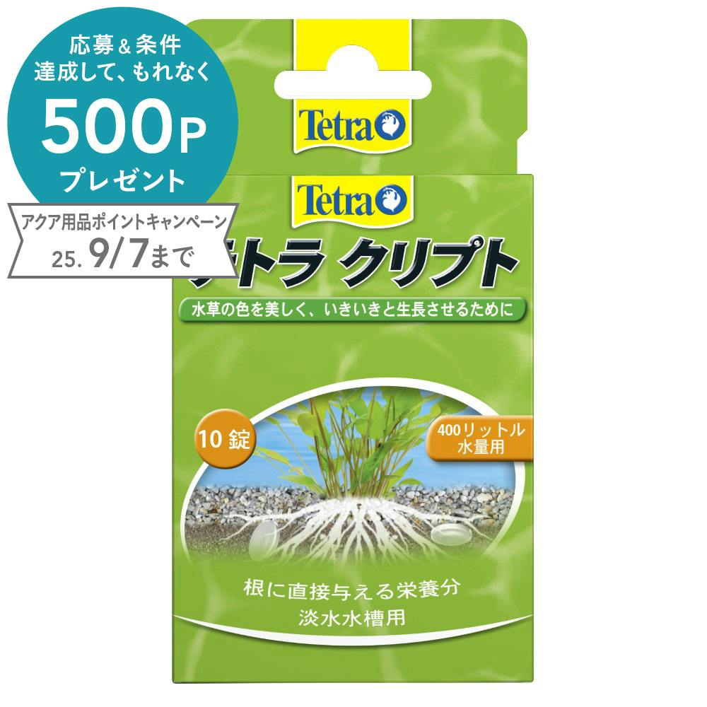 テトラ クリプト 10錠 水槽・アクアリウム テトラ クリプト 10錠 水槽・アクアリウム
