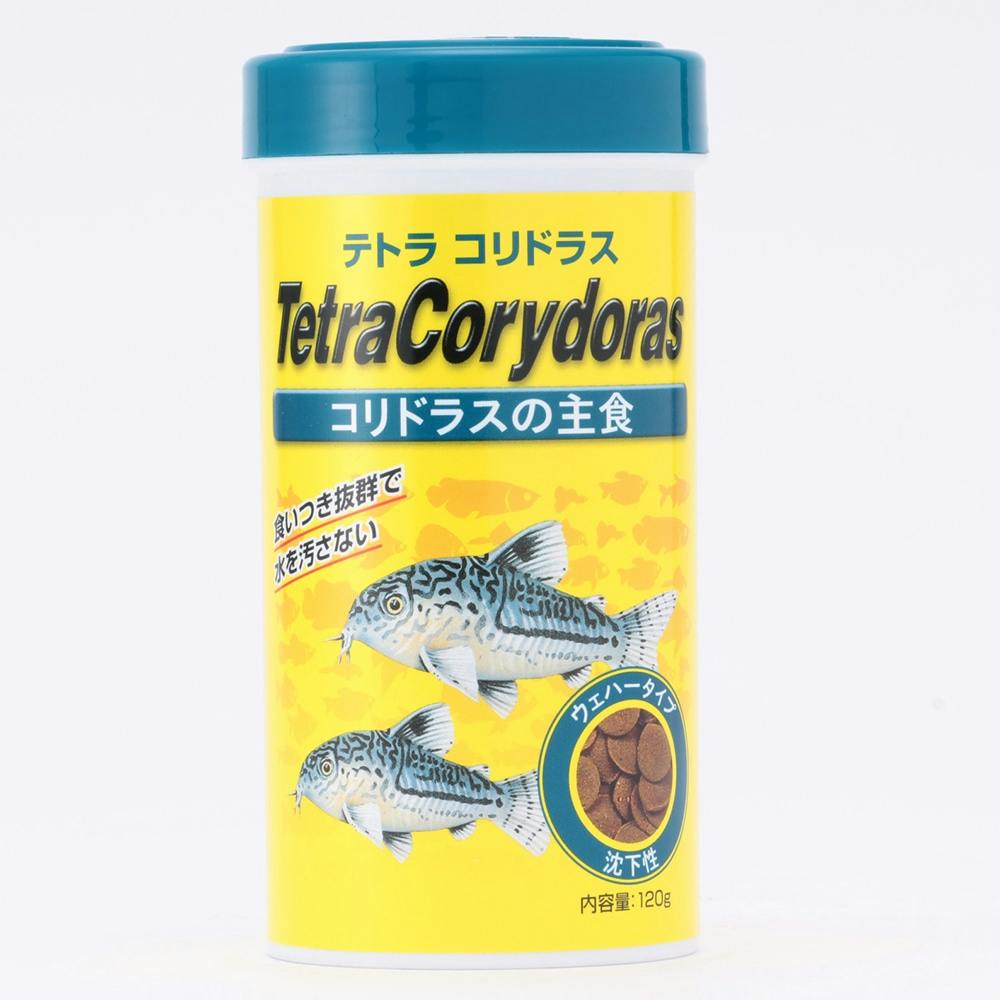 セラ　ビフォルモ　Ｎａｔｕｒｅ　１００ｍｌ（６４ｇ）　コリドラス　餌　草食性爬虫類