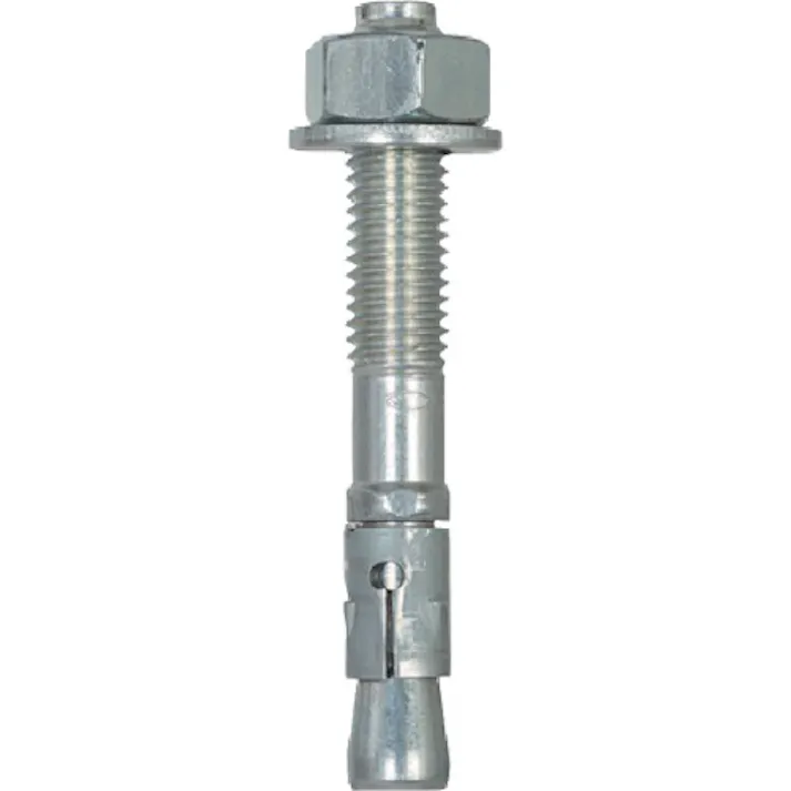 【CAINZ-DASH】フィッシャージャパン ボルトアンカー FBN2 10/160 (20本入) 40945【別送品】