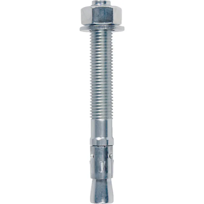【CAINZ-DASH】フィッシャージャパン ボルトアンカー FBN2 16/100 (10本入) 45567【別送品】