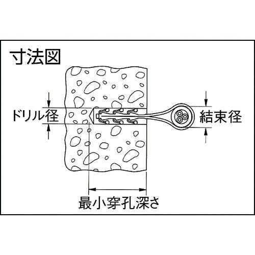 【CAINZ-DASH】フィッシャージャパン ケーブルストラップ　ＳＦ　ｐｌｕｓ　ＬＳ　２０／４０　（１００個入） 58157【別送品】