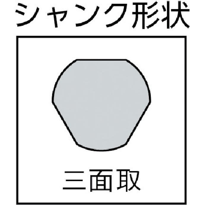 【CAINZ-DASH】ＲＵＫＯ社 ２枚刃スパイラルステップドリルセット　３本組　ハイス 101026【別送品】