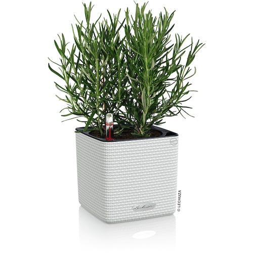 CAINZ-DASH】geobra社 底面給水プランター キューブカラー14