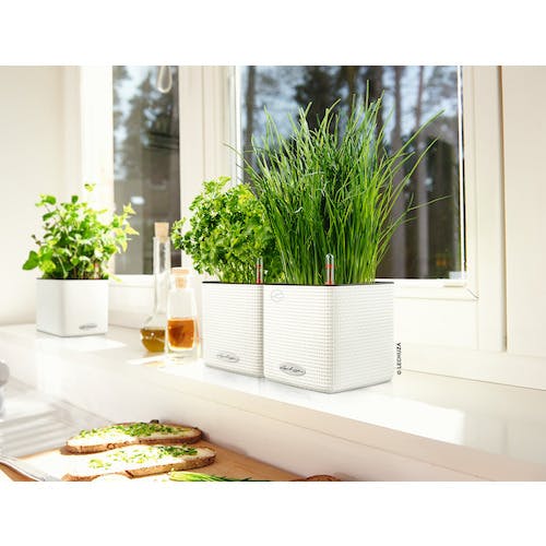 CAINZ-DASH】geobra社 底面給水プランター キューブカラー14