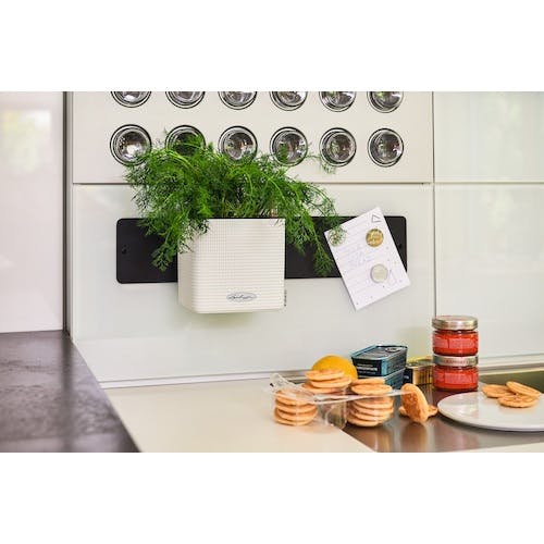 CAINZ-DASH】geobra社 底面給水プランター キューブカラー14