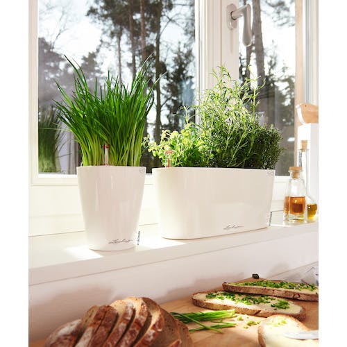 プランター CAINZ-DASH】geobra社 底面給水プランター デルタ10 土容量