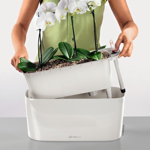 CAINZ-DASH】geobra社 底面給水プランター デルタ10 土容量