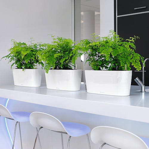 CAINZ-DASH】geobra社 底面給水プランター デルタ20 土容量