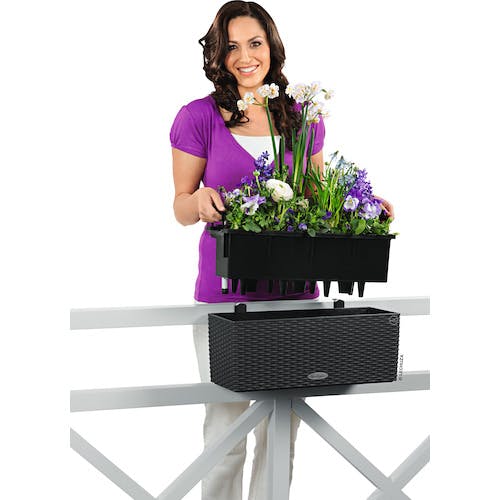 CAINZ-DASH】geobra社 底面給水プランター バルコネラ コテージ