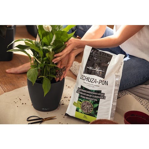 CAINZ-DASH】geobra社 底面給水プランター用鉢底石 レチューザ