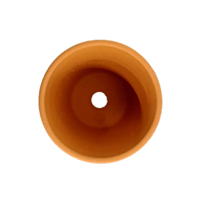 テラコッタ ミニモ 7cm