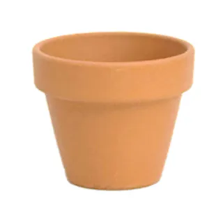 テラコッタ ミニモ 8cm