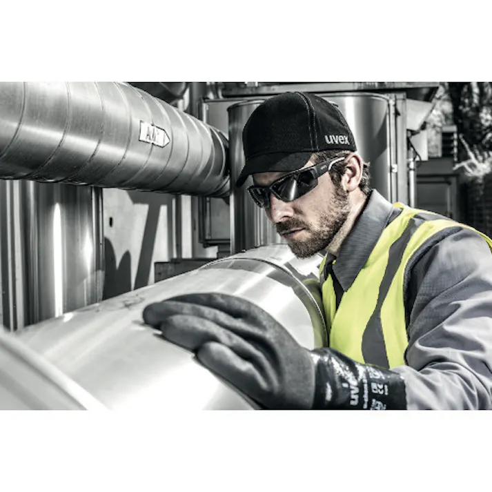 【CAINZ-DASH】UVEX社 二眼型保護メガネ ポーラビジョン9231(偏光レンズ) 9231960【別送品】