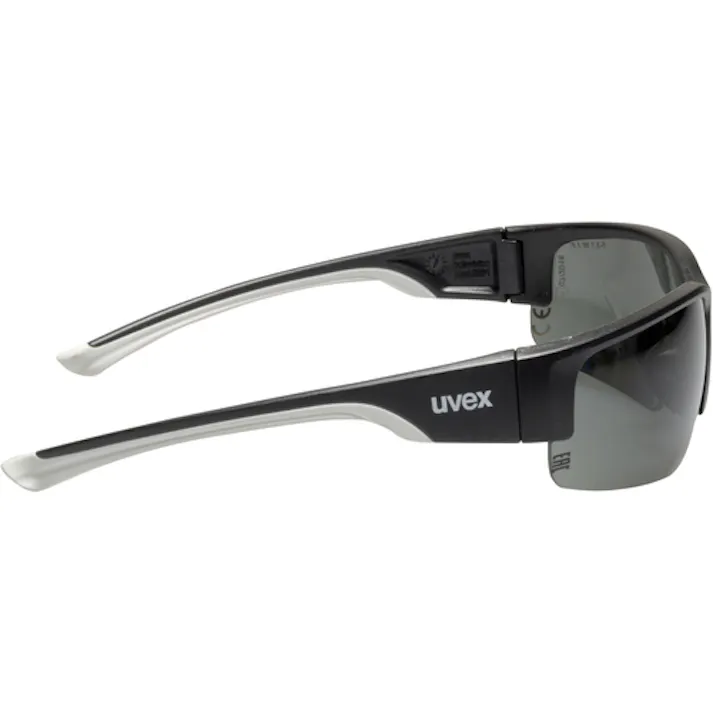 【CAINZ-DASH】UVEX社 二眼型保護メガネ ポーラビジョン9231(偏光レンズ) 9231960【別送品】