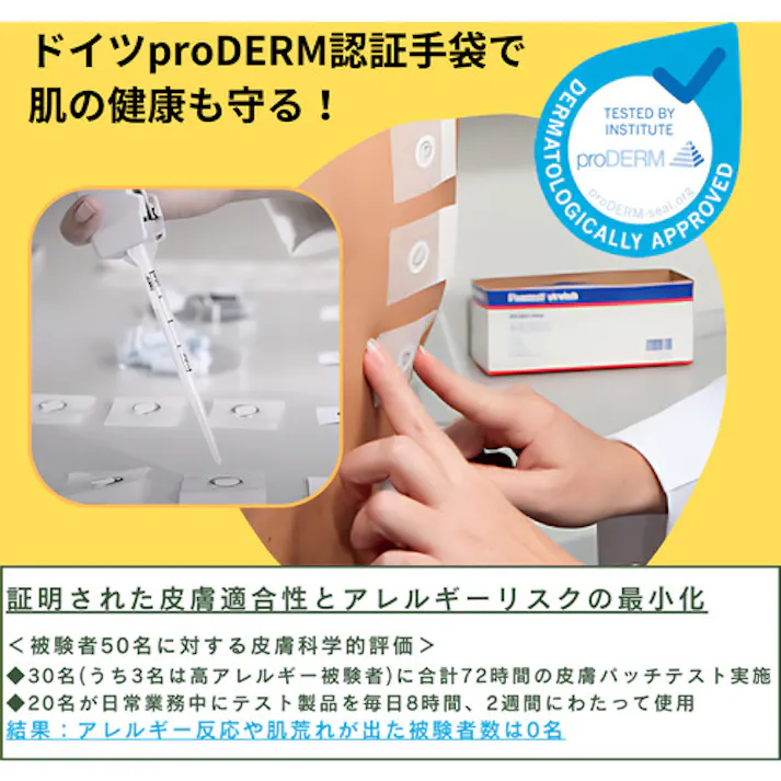 【CAINZ-DASH】UVEX社 ユニプール 6639 L 6024869【別送品】