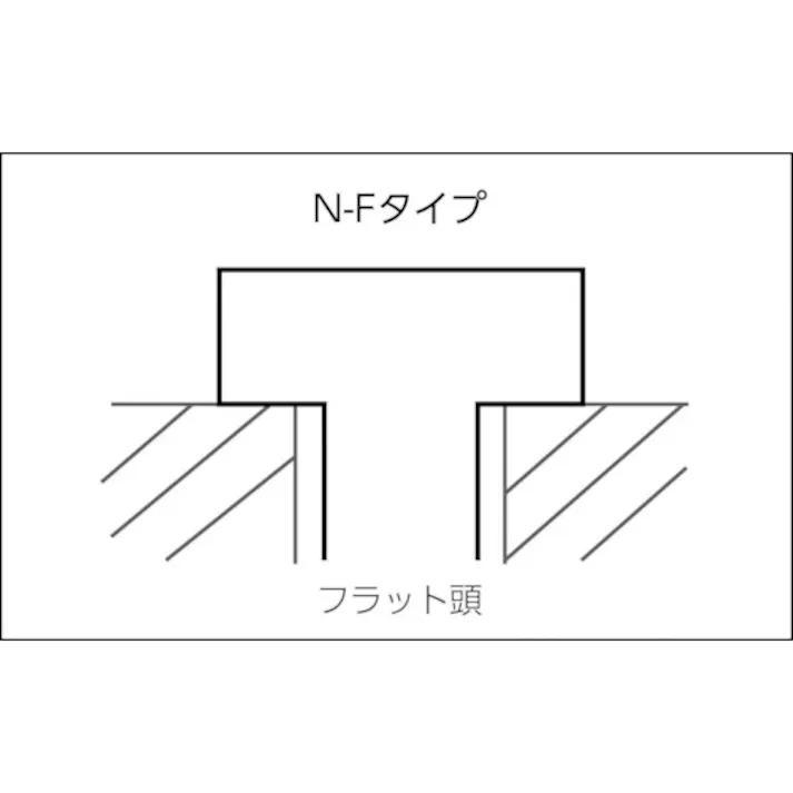 【CAINZ-DASH】フィッシャージャパン Nハンマーフィックス N6×80/50F (100本入) 513842【別送品】