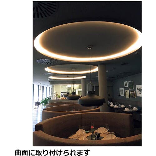 スガツネ工業 LEDテープライト (220042042) LED-TAPE-F-1000NW CAINZ-DASHスガツネ工業 （２２００４２０４２）ＬＥＤ－ＴＡＰＥ