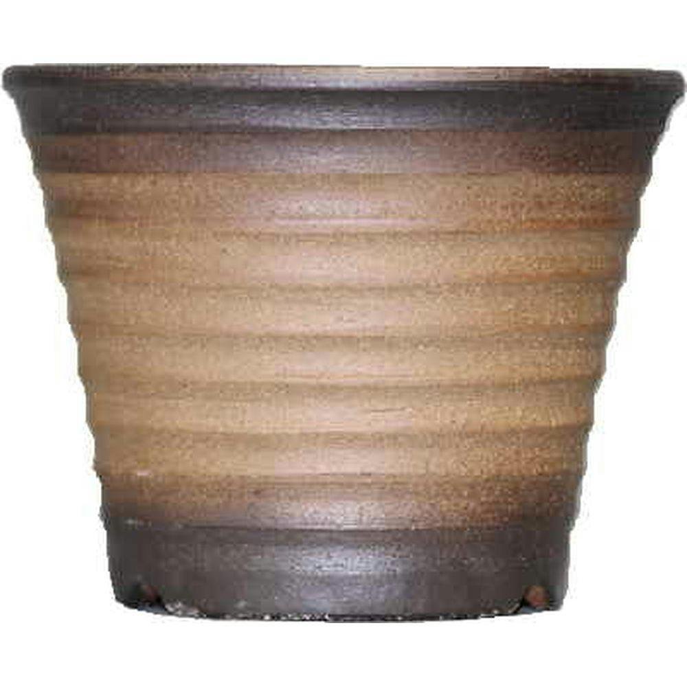 黒吹ソリエビネ鉢 5号