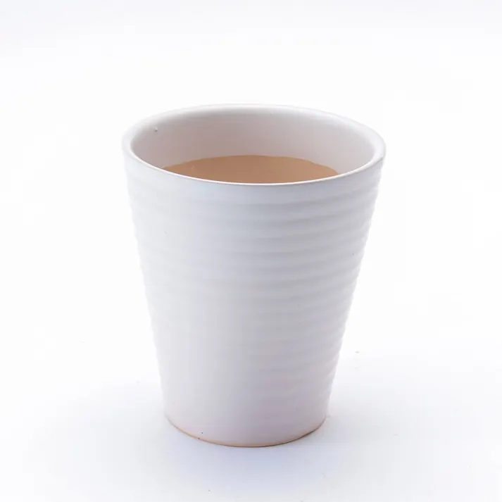 SPAコーン 白 5号