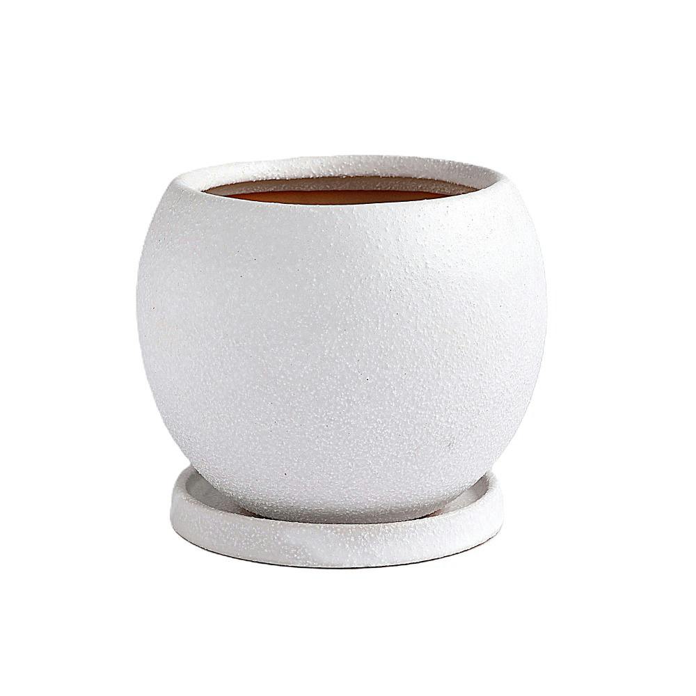 皿付鉢 ロトンド ホワイト