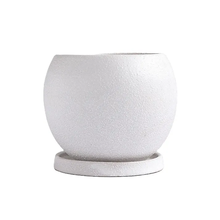 皿付鉢 ロトンド ホワイト