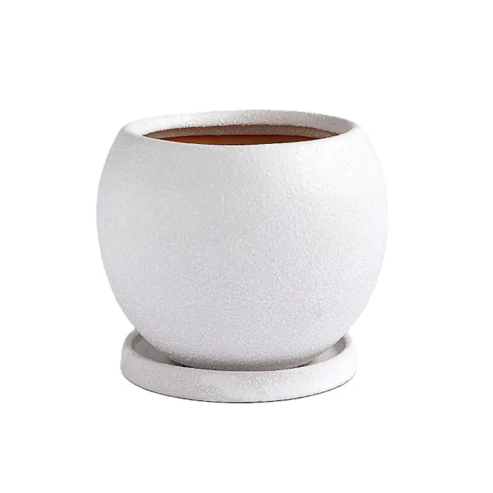 皿付鉢 ロトンド ホワイト