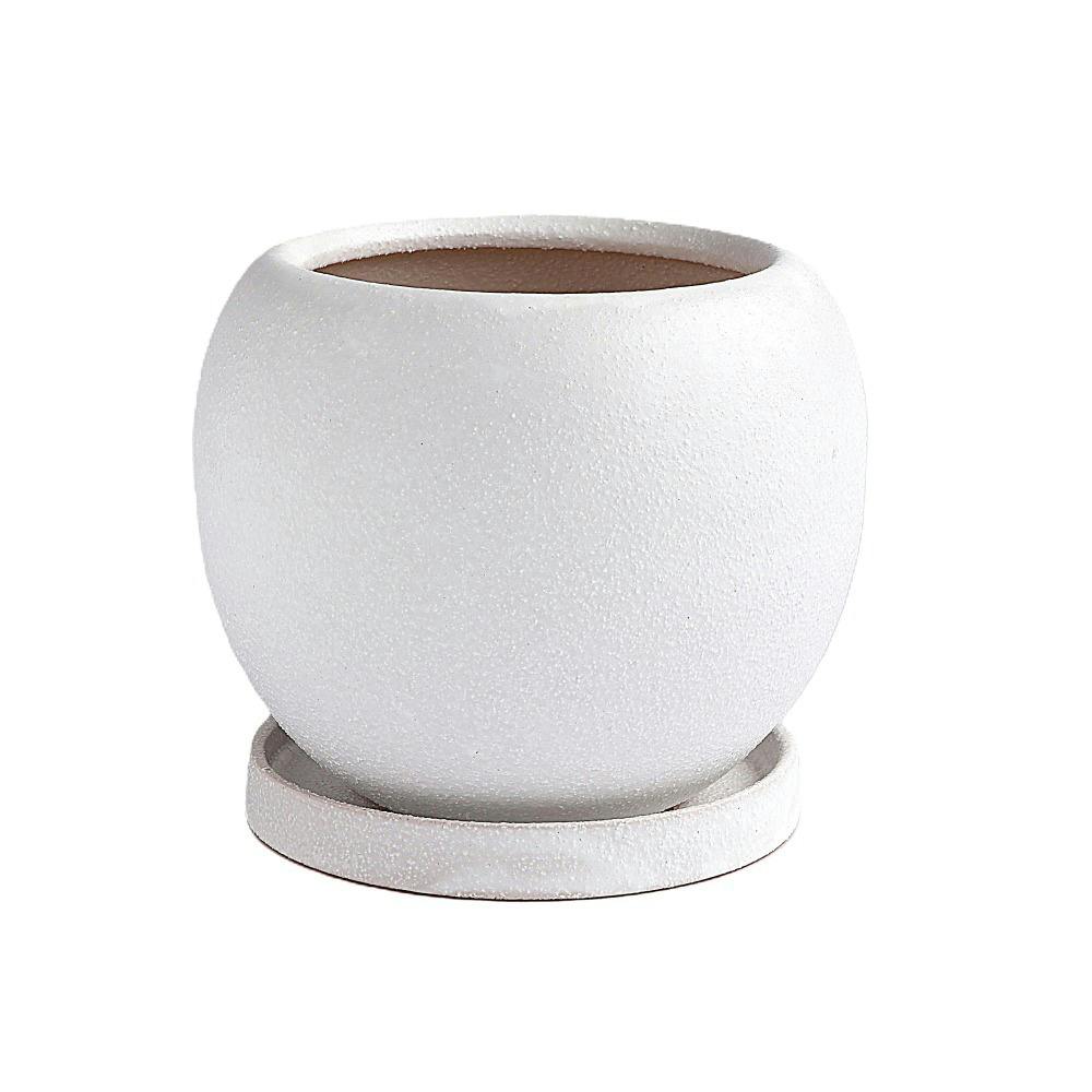 天照太御神　ospグレートホワイトシャーク2鉢 CSM-300 シルバーグレー【スリット鉢】【カーメン君カラー】 – KUROKO