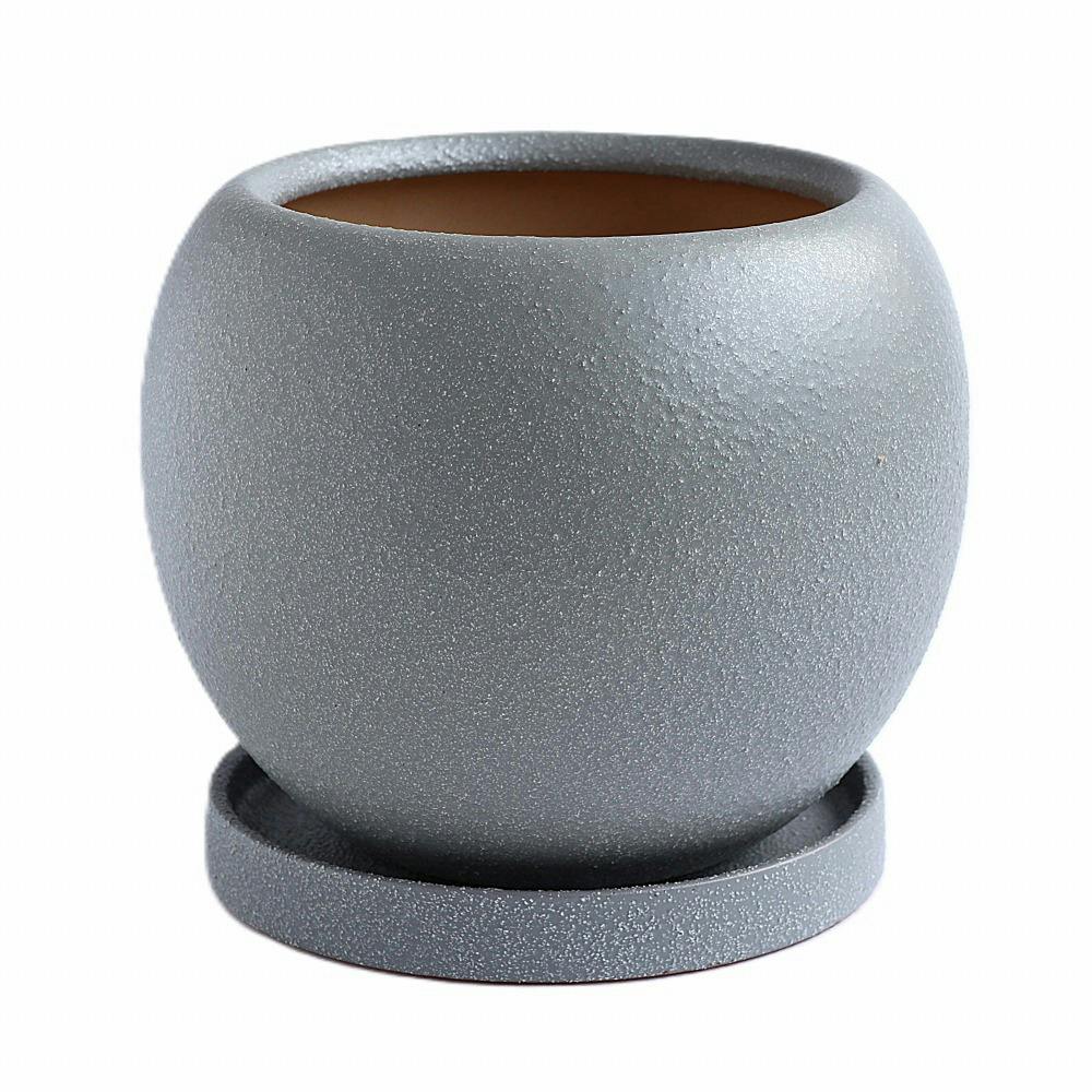 皿付鉢 ロトンド グレー