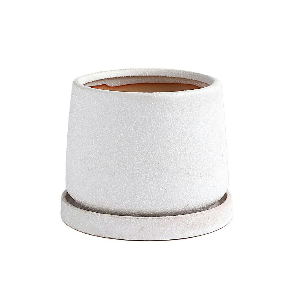 皿付鉢 フラン ホワイト